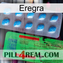 Eregra new03
